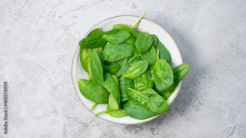 Fresh bright spinach leaves in a gray plate on a gray background