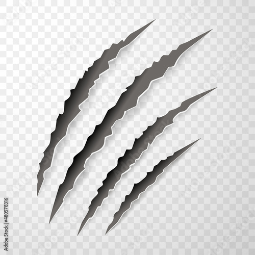 Animal claw paw marks, scratches, talons cuts cat, tiger, dog, lion, monster isolated. Vector realistic illustration.