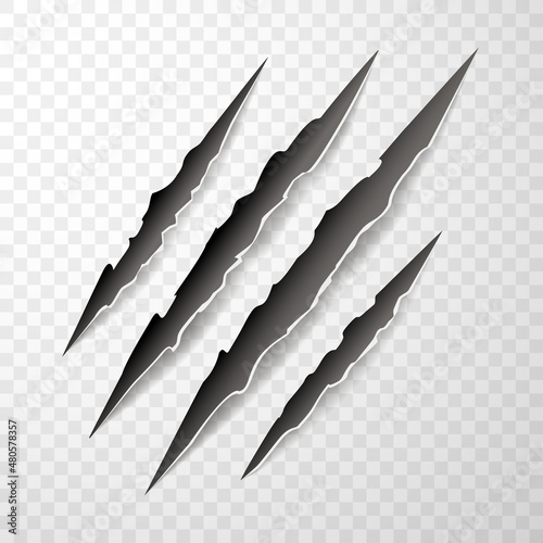 Animal claw paw marks, scratches, talons cuts cat, tiger, dog, lion, monster isolated. Vector realistic illustration. Design for animal print, banner, poster