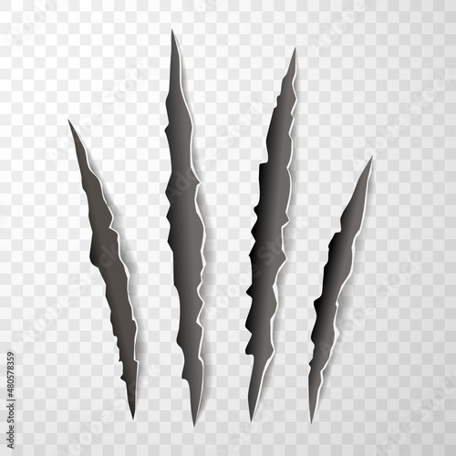 Animal claw paw marks, scratches, talons cuts cat, tiger, dog, lion, monster isolated. Vector realistic illustration.