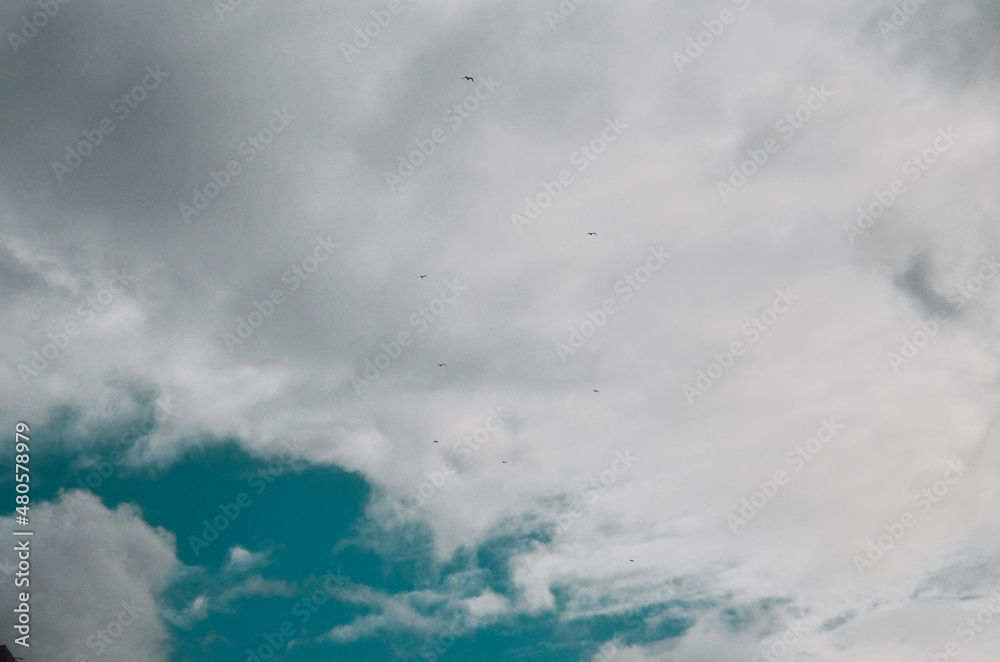 Obraz premium Blue sky clouds background, Beautiful landscape with clouds on sky