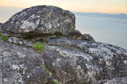 rock in the mountains