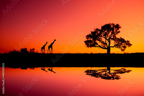 beautiful sunset at serengeti national park, tanzania.afarica.