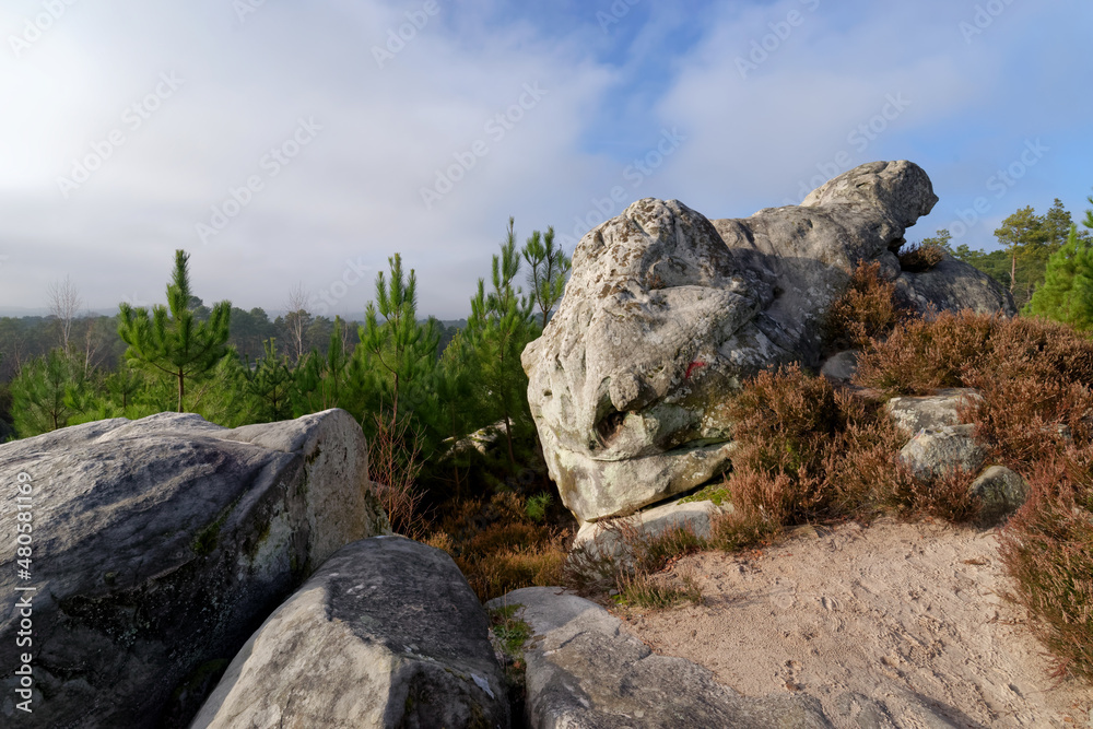 The circuit of 25 bumps in Fontainebleau forest