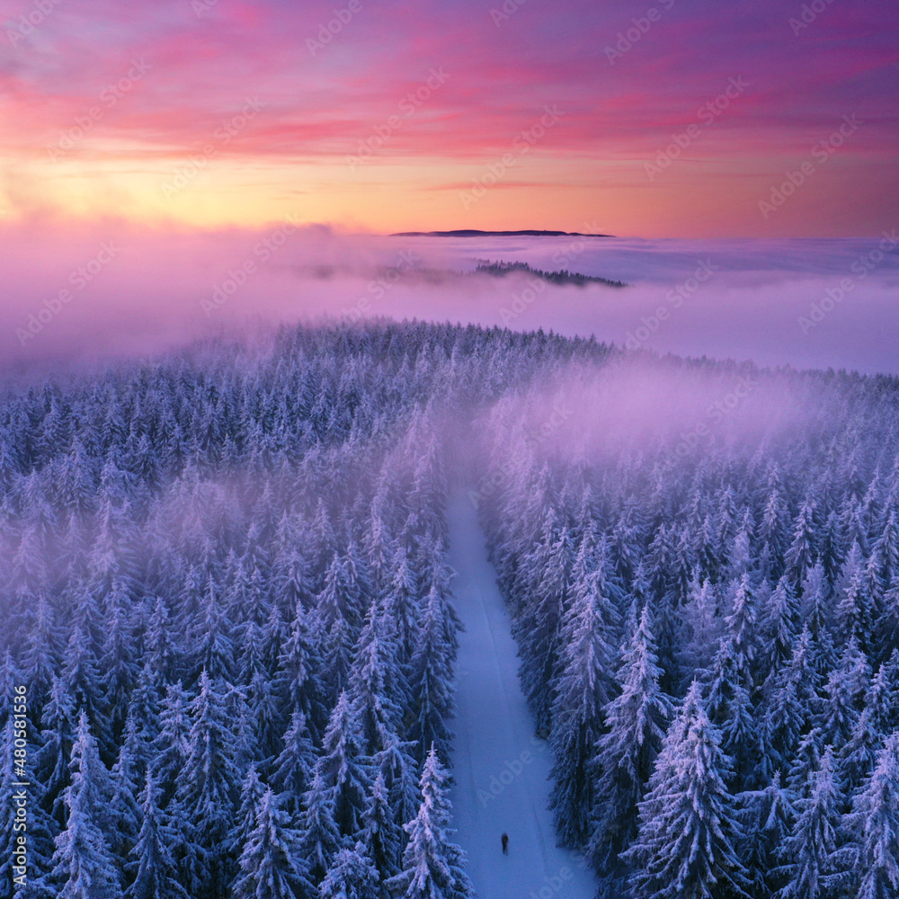 Nebel über dem Thüringer Wald