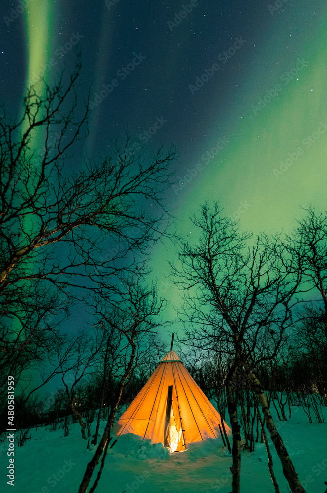 Northern Lights, aurora borealis over Abisko, Swedish Lapland. - obrazy, fototapety, plakaty 