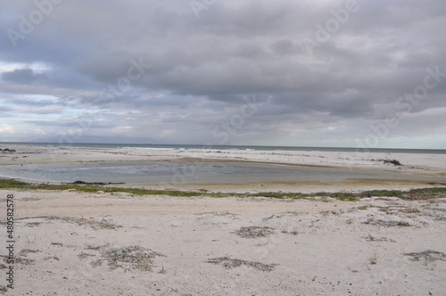 beach in the morning
