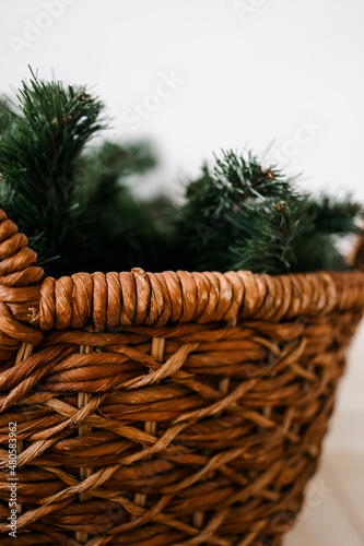 Wicker floor basket in the room. branches of a fir tree in a basket. the concept of a New Year's interior.