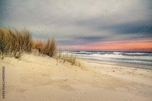 Fototapeta Naklejka Na Ścianę i Meble -  Ostseebad Kühlungsborn, Mecklenburg-Vorpommern, Deutschland