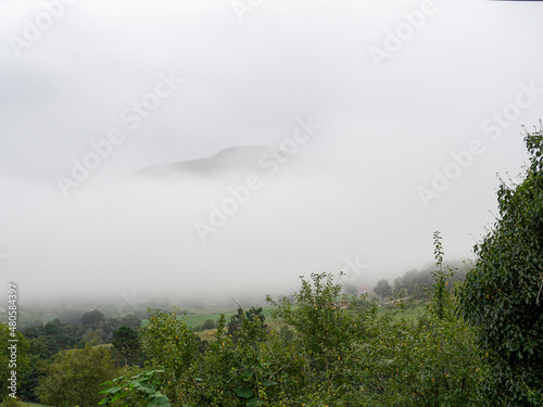 Paisaje con niebla blanca , una montaña escondida y hierbas verdes en primer plano, en verano de 2020, España. © acaballero67