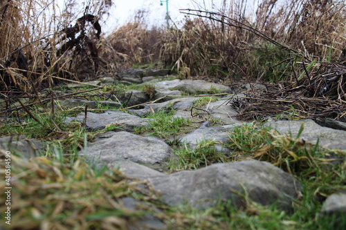 stone path in the grass