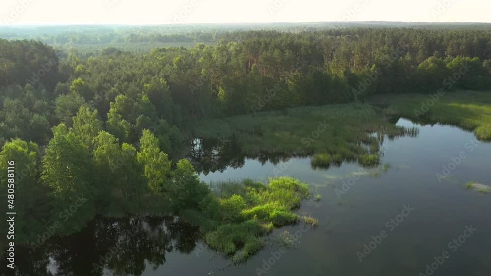 Drone flies over a silent lake surrounded by forest. Filmed in 4k, drone video.