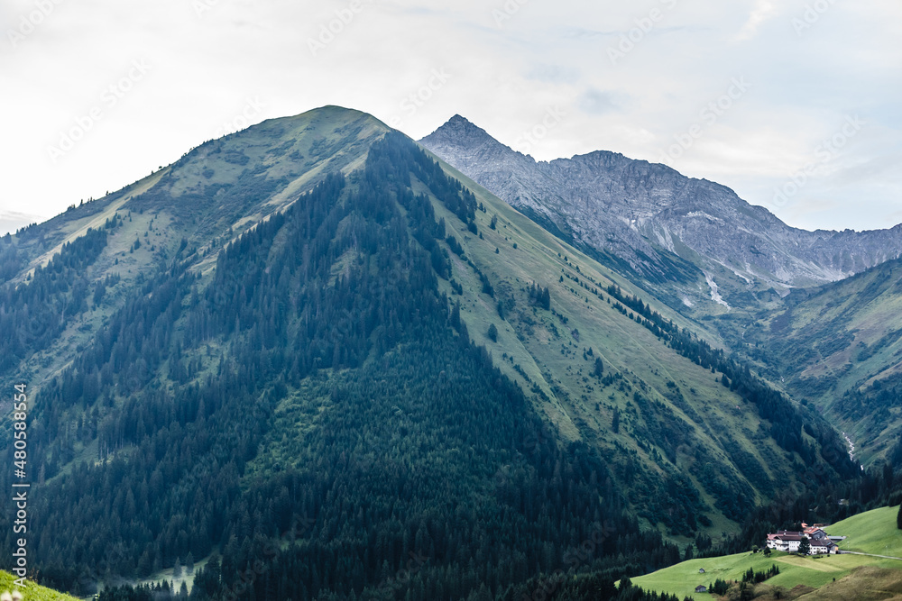 view of the Alps mountain austria.