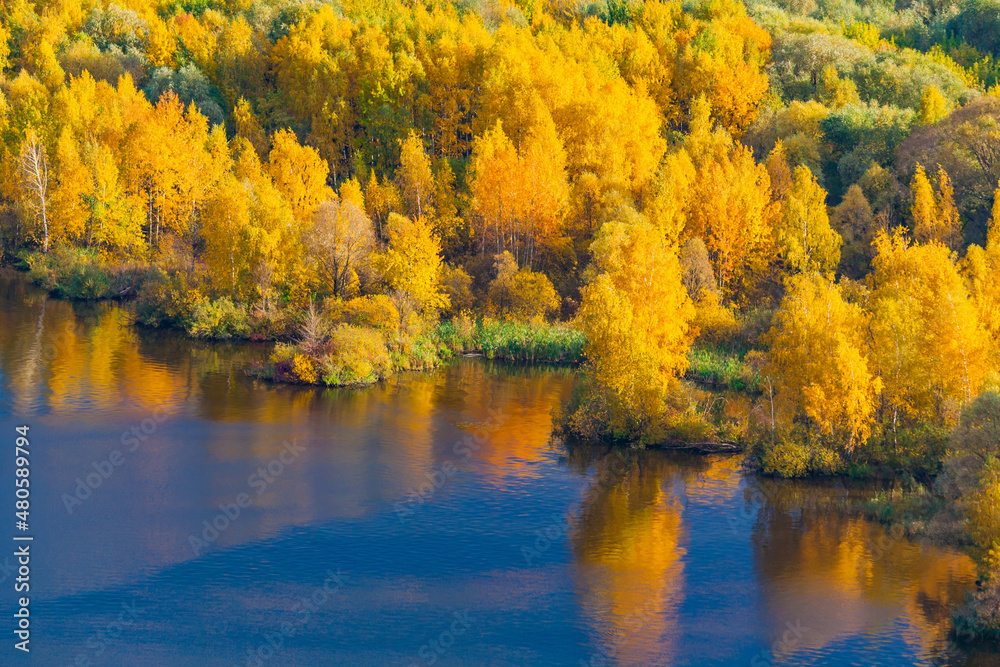 View of the autumn forest with yellow foliage on the river bank