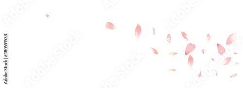 White Lotus Petal Vector White Background. Pastel
