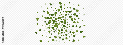 Forest Leaves Swirl Vector Panoramic Transparent