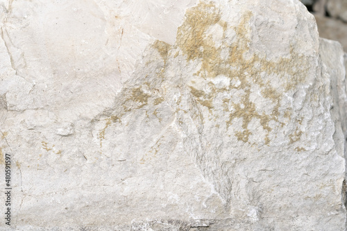 limestone with visible details. background or texture