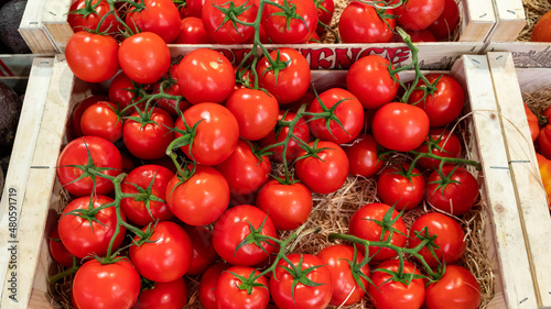 Tomatoes counter at a market in Cannes, France photo