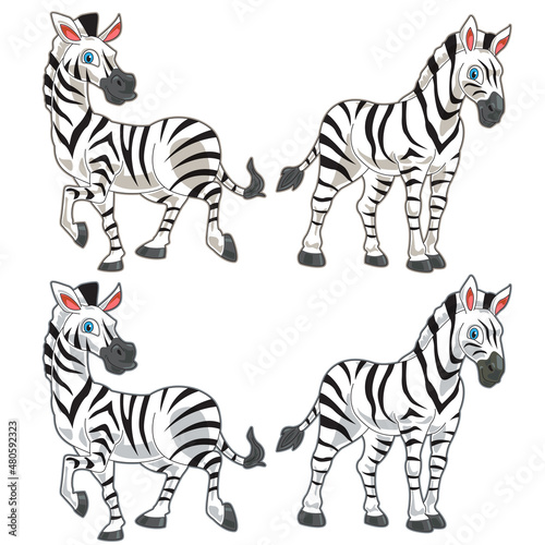 Zebra cute cartoon illustration with 2 posing and colors