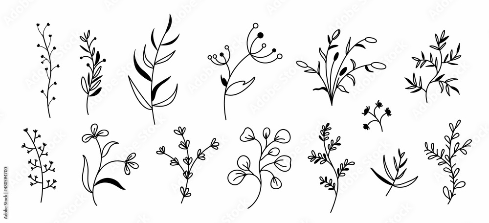 Floral and herbal set. Fantasy Botanical elements twigs and flowers isolated on white background. contour illustrations of spring flowers Floral and herbal set. Fantasy Botanical elements twigs and flowers isolated on white background. contour illustrations of spring flowers