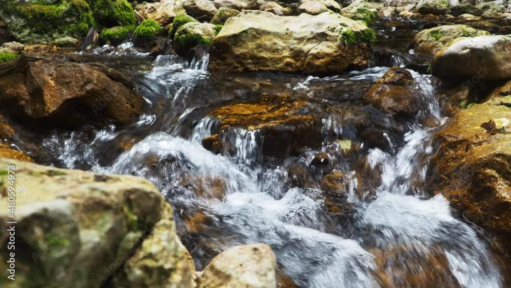 a quiet mountain river in the summer. rocky bottom, clear water. large rocks overgrown with vegetation