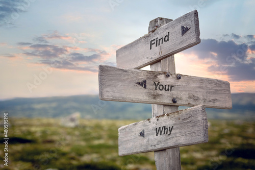 find your why text on wooden sign outdoors. photo