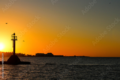 Wallpaper Mural Hermoso faro vigía al atardecer acompañado por dos aves marinas Torontodigital.ca