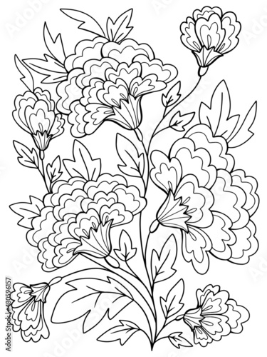 flowers graphics contour coloring for children and adults plants sketch hand-drawing on a white background isolate doodle anti-stress stroke