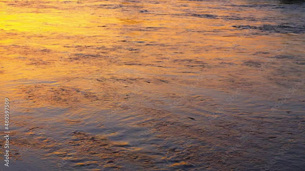 Golden river surface at sunset Golden river surface at sunset