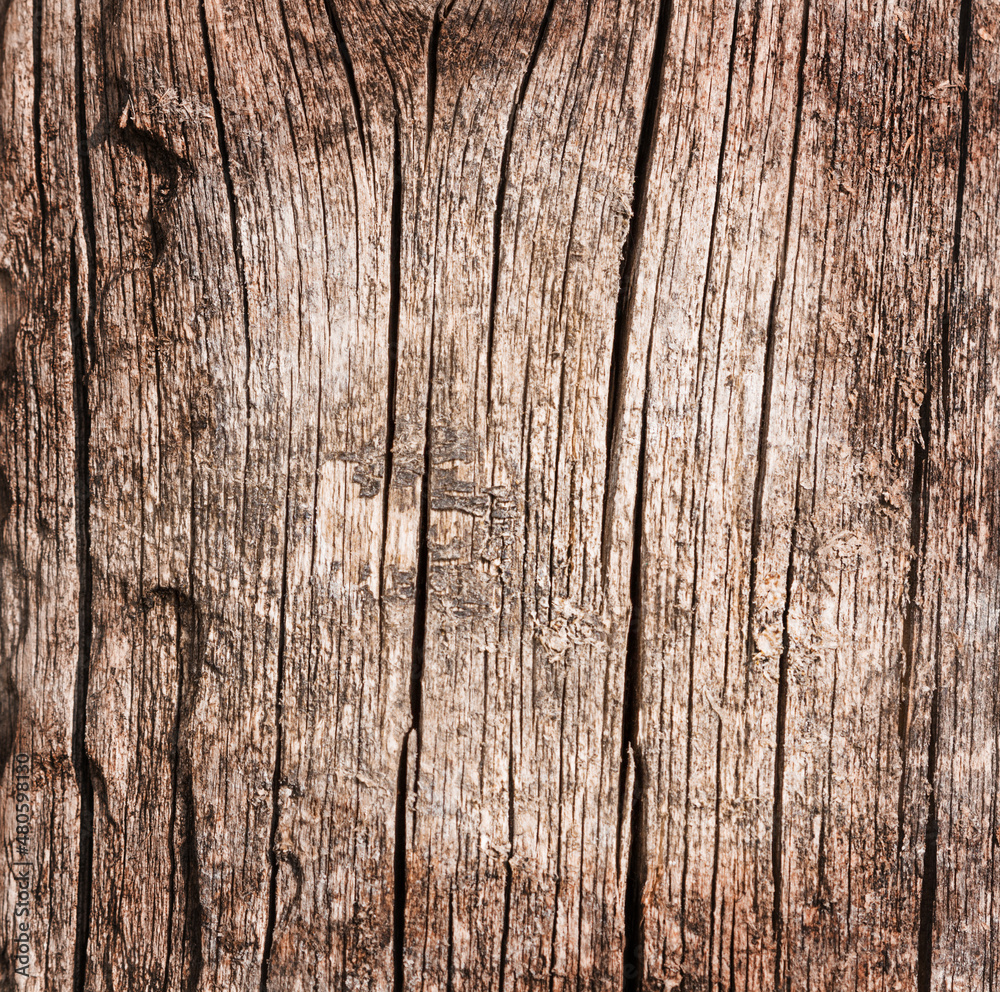 Close-up of dark old wooden background.