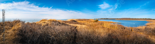 Hilly coastal sand dunes covered with bare tree bushes and golden grasses. Pristine landscape of wildlife sanctuary lagoon next to the South Cape Beach in the Atlantic Ocean. Aerial view panorama.