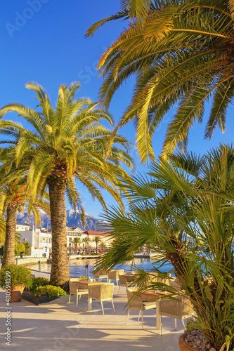 Beautiful winter Mediterranean landscape. Montenegro, Tivat city. View of embankment with palm trees on sunny day