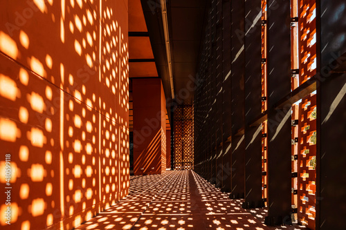 The heavy shadow of an orange brick wall casts fascinating shadows in the late afternoon sunlight.