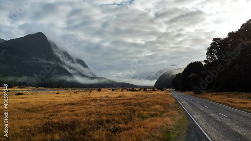 Road to Milford Sound, Fiordlands National Park, South Island, New Zealand