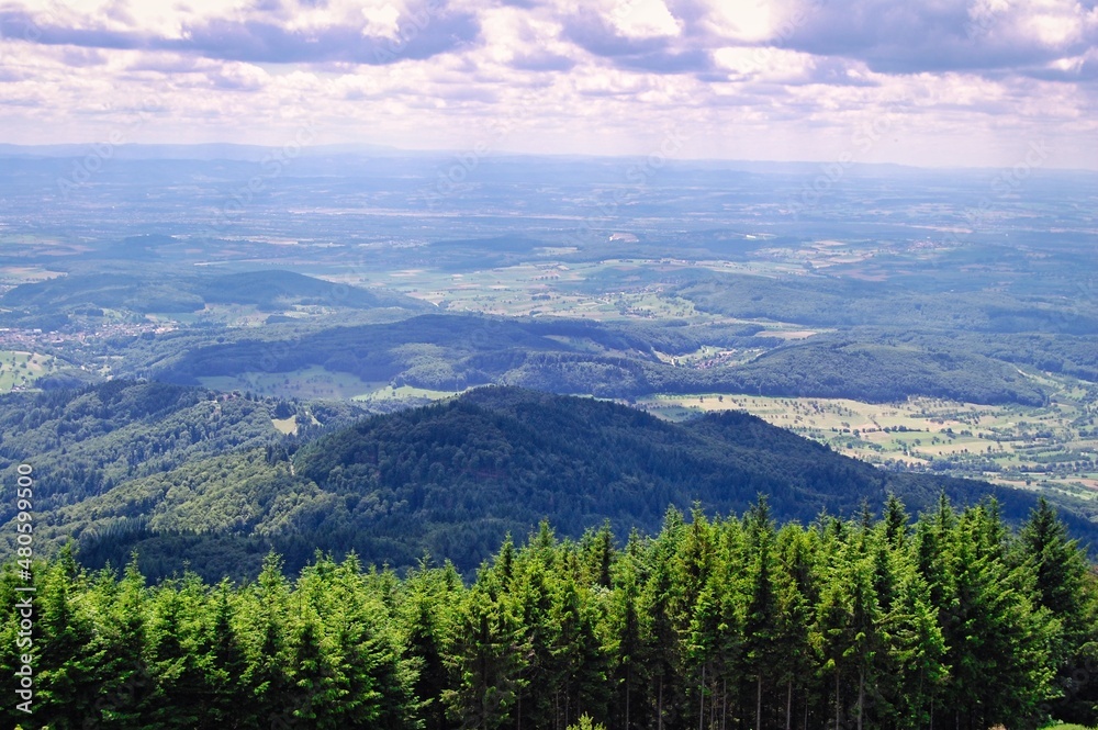 Hilly landscape with lush green forest Hilly landscape with lush green forest
