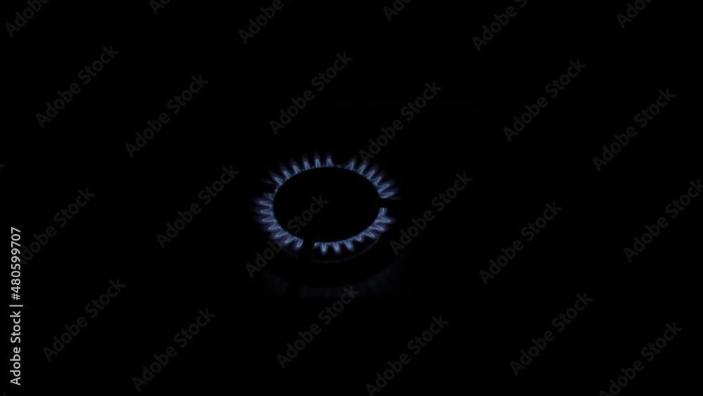 Natural gas burning a blue flames on black background. video 4 k. gas outage. the increase in gas prices leads to its closure. Natural gas burning a blue flames on black background. video 4 k. gas outage. the increase in gas prices leads to its closure.