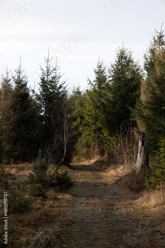 Trekking on a mountain trail