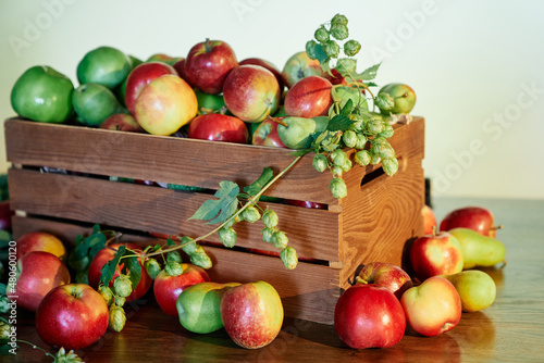 Apples in the wooden storage box. Harvesting season. View of juicy red and green apples in a box. Harvesting organic products. High quality image