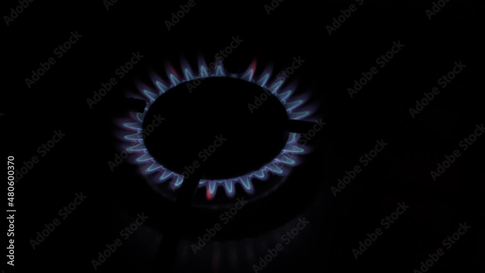 Natural gas burning a blue flames on black background. video 4 k. gas outage. the increase in gas prices leads to its closure.