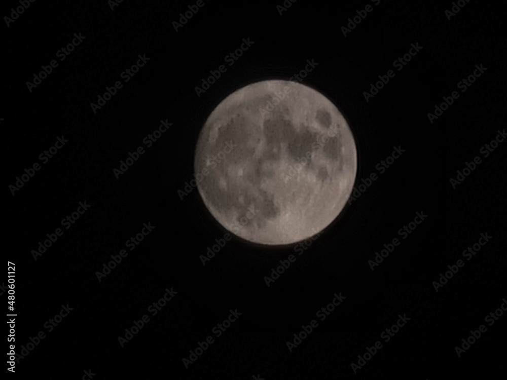 Naklejka premium moon in the sky