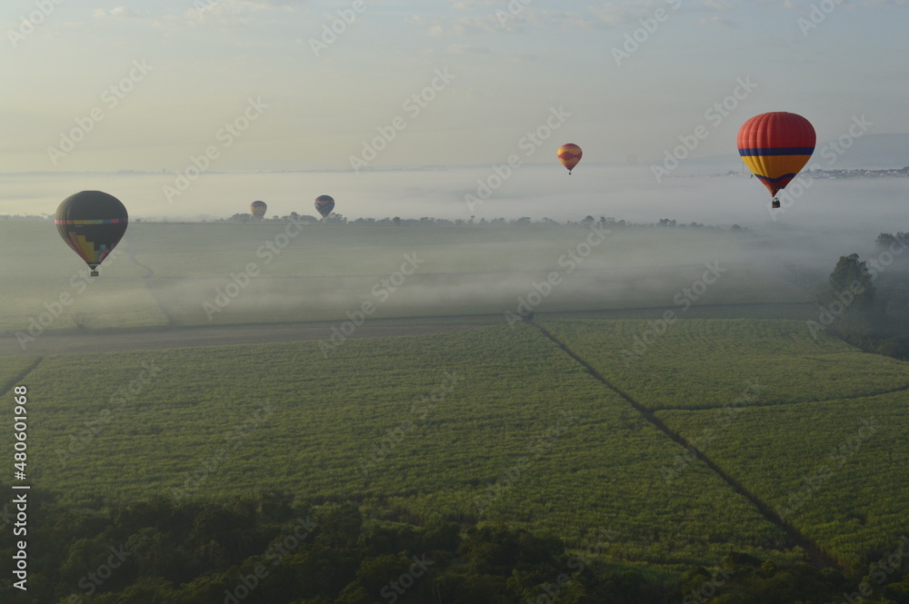 Obraz premium Balões sob os campos de Boituva