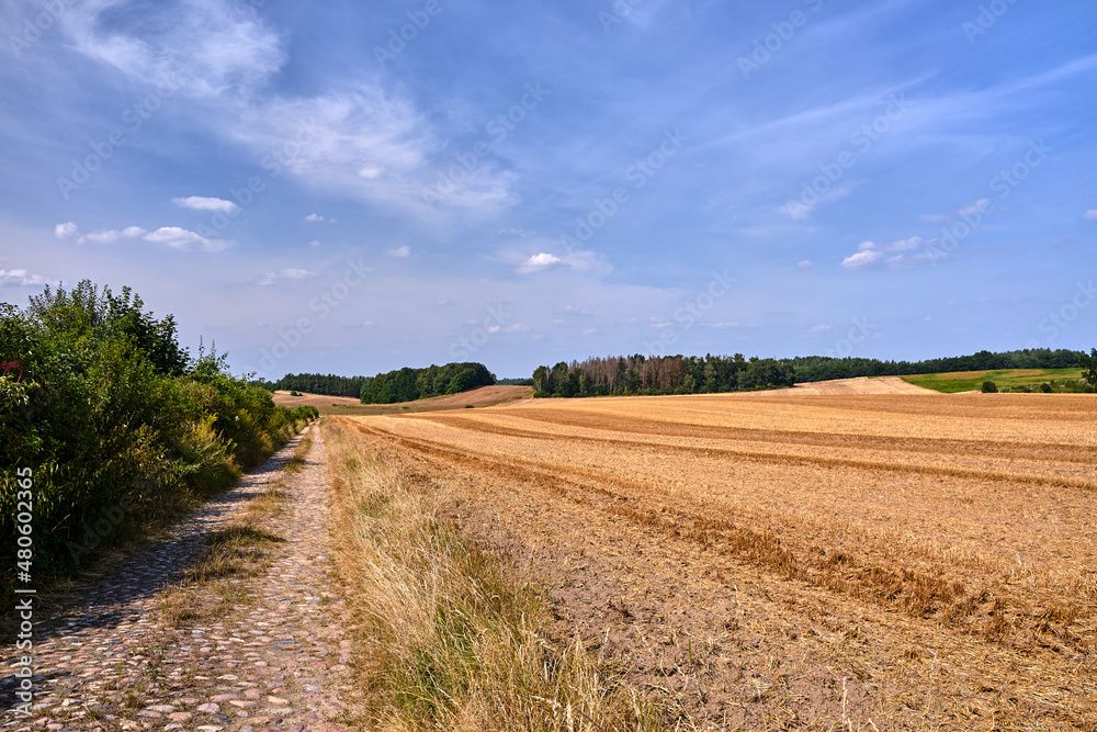 arable fields after harvest and paved road in summer i