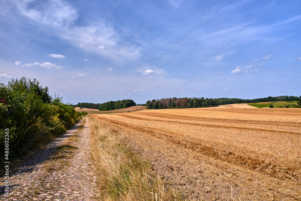 arable fields after harvest and paved road in summer i arable fields after harvest and paved road in summer i