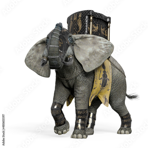 elephant warrior cool view