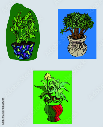 Abstract illustration of potted indoor flowers. Indoor plants