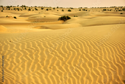 Desertscape photo