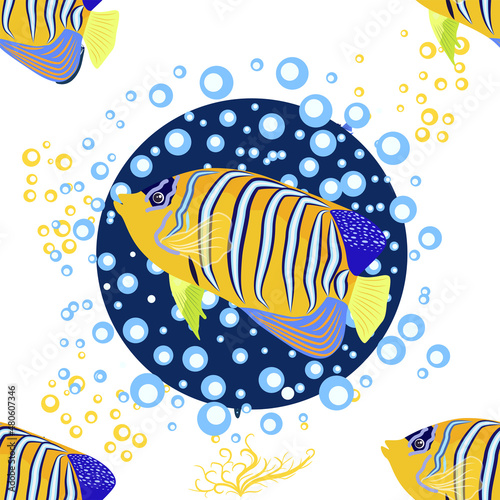 Emperor angelfish Pomacanthus imperator on white, sea animal wildlife character. Nature underwater, marine wild ocean zoo fish. photo