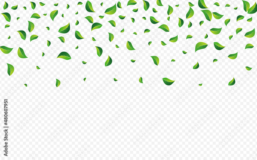 Forest Greens Realistic Vector Transparent Forest Greens Realistic Vector Transparent