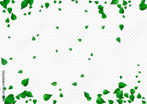 Olive Foliage Blur Vector Transparent Background