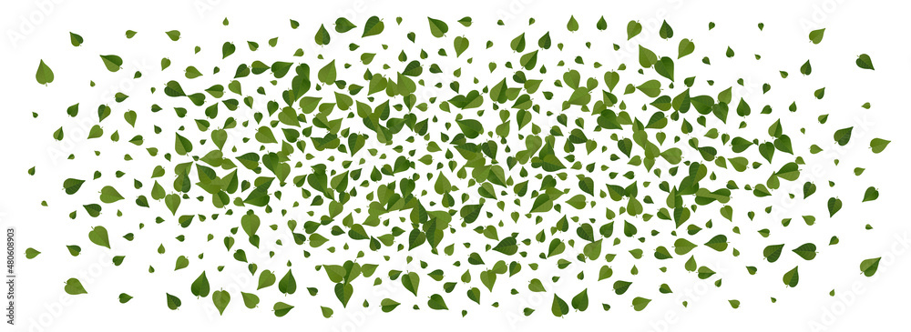 Lime Leaves Ecology Vector Panoramic White Lime Leaves Ecology Vector Panoramic White
